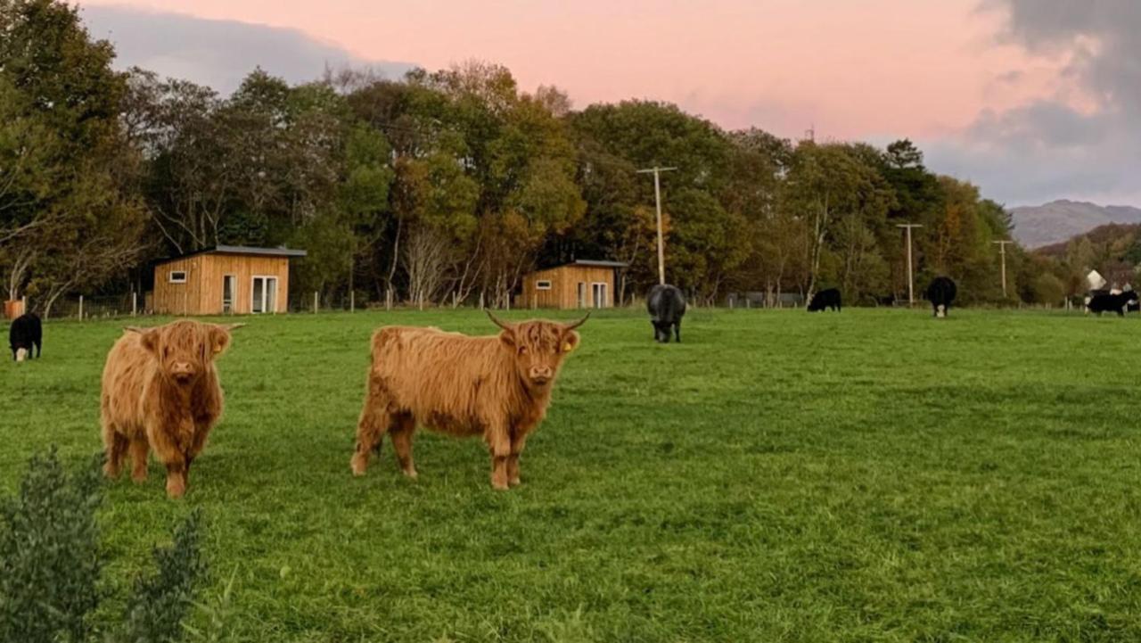 Cruachan Cabin Oban Eksteriør bilde